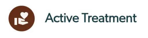 Collaborative Care - Phases of Care - Active Treatment icon and label