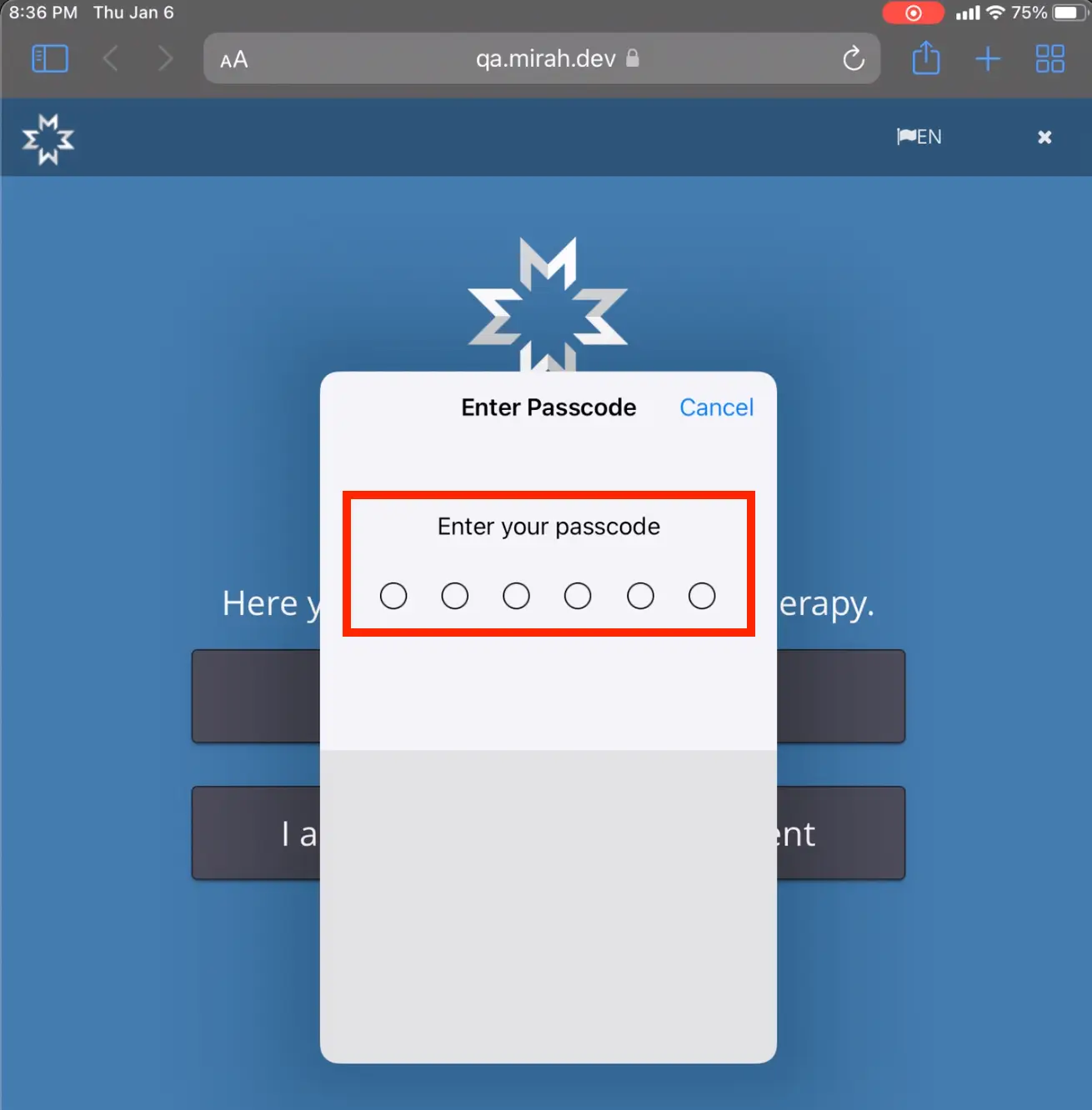 Mirah platform passcode entry screen with six input fields
