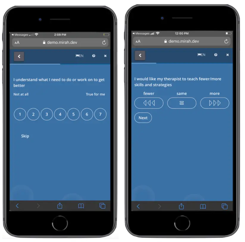 Mirah patient interface assessment questions on demo.mirah.dev