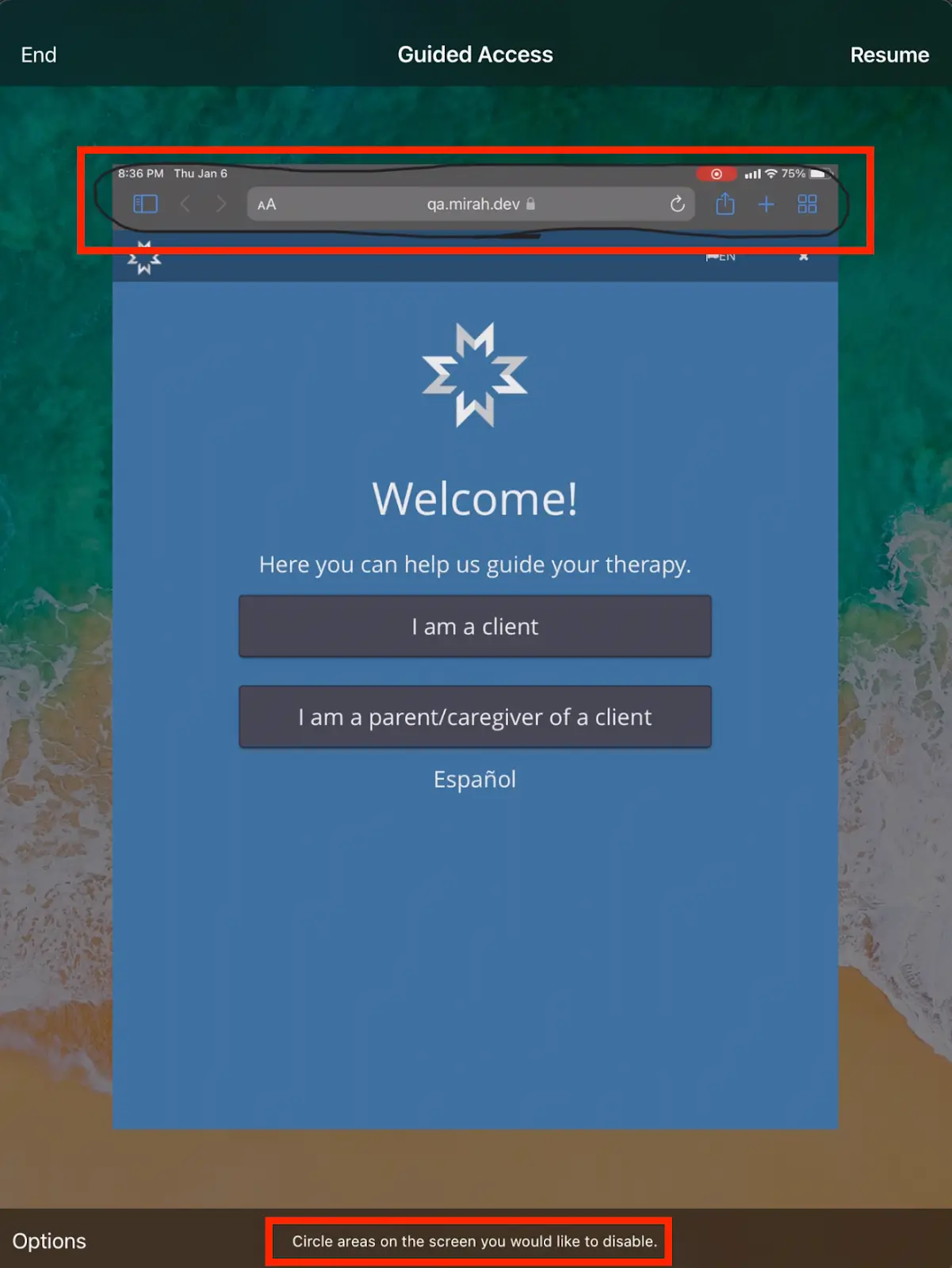 Mirah Guided Access welcome screen on iPad